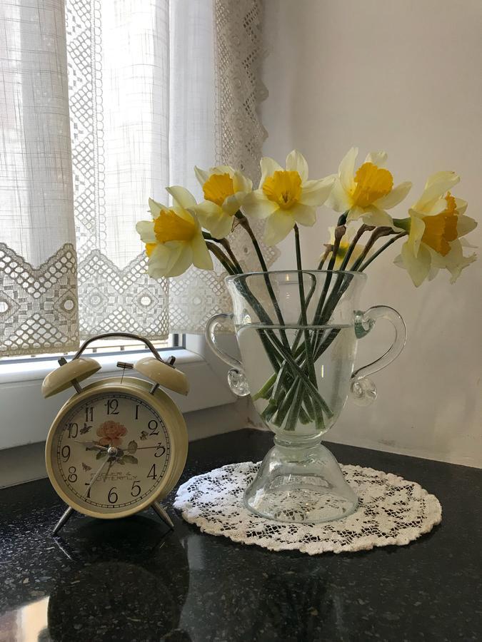 Apartment Natalya Лвив Екстериор снимка